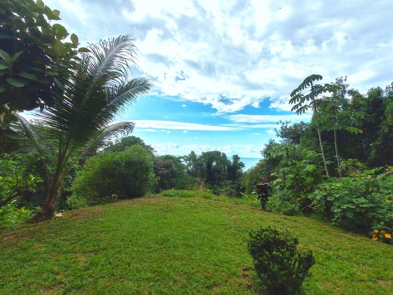 Corcovado Green Cabin & House Drake Bay Zewnętrze zdjęcie