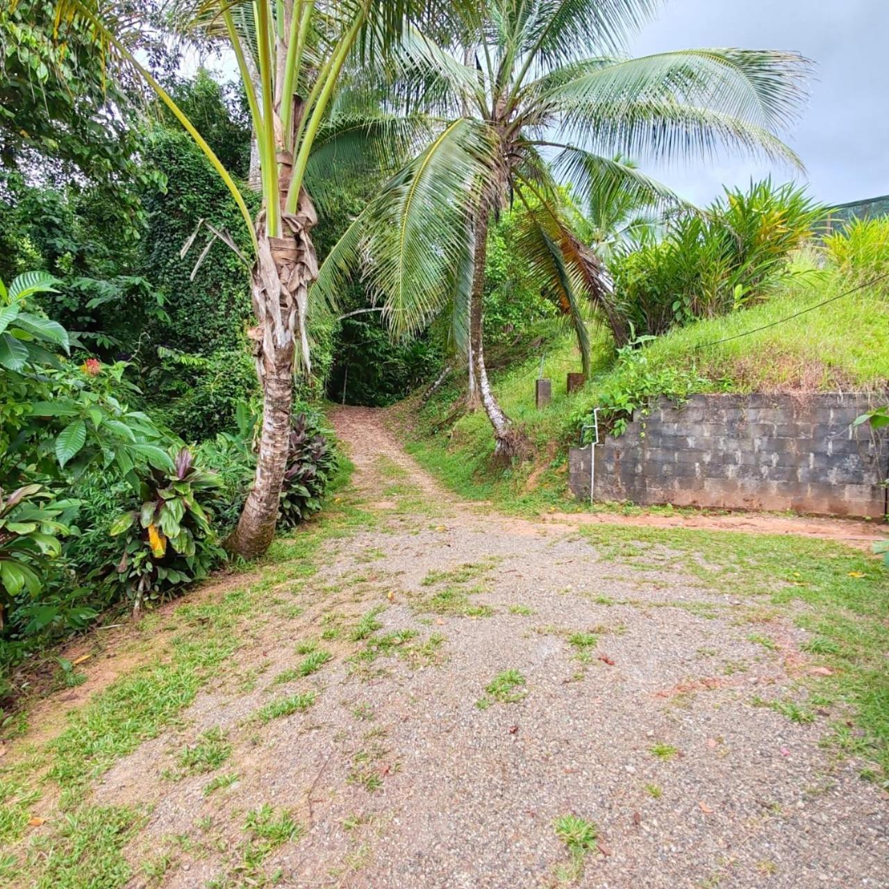 Corcovado Green Cabin & House Drake Bay Zewnętrze zdjęcie