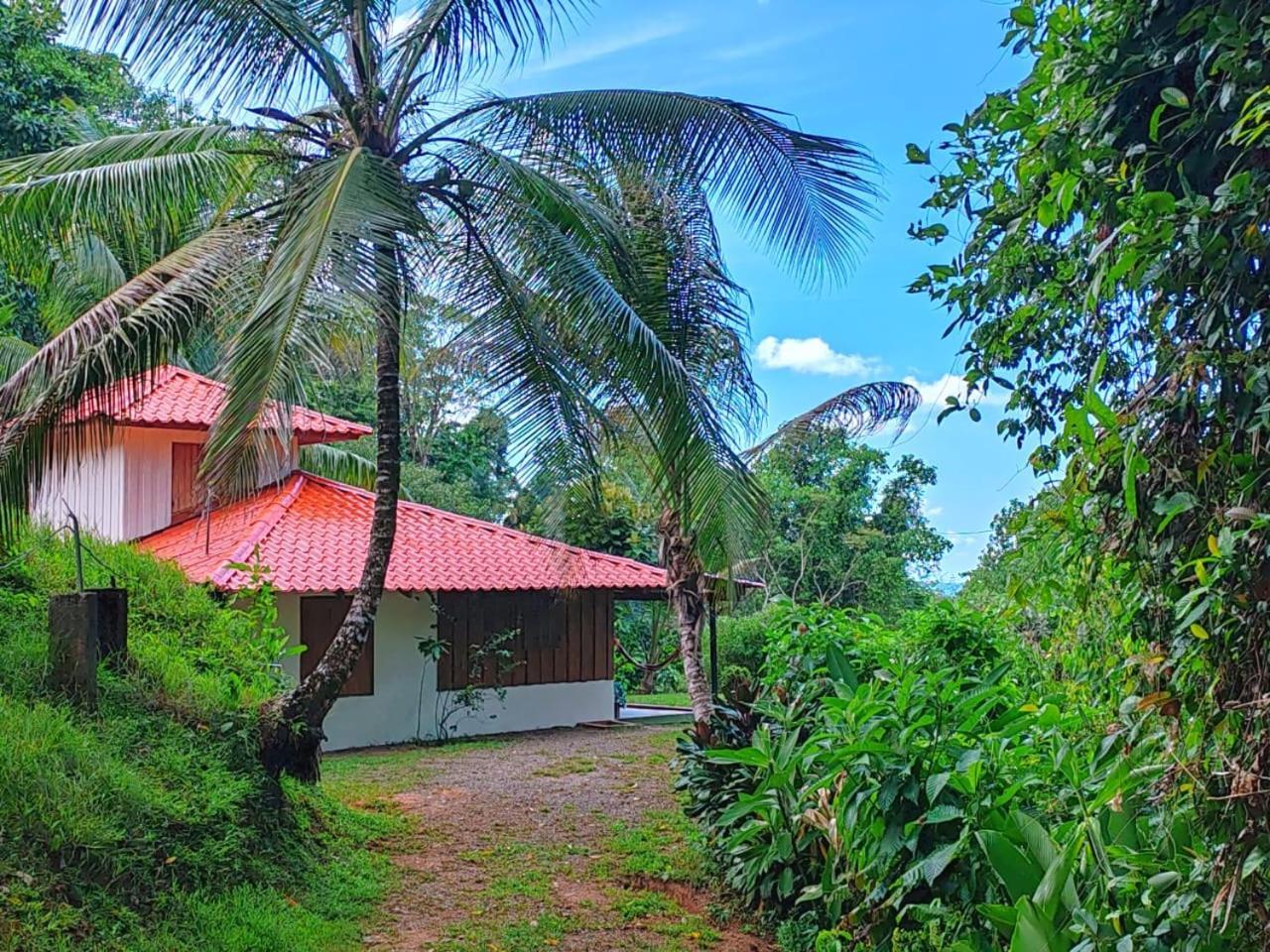 Corcovado Green Cabin & House Drake Bay Zewnętrze zdjęcie