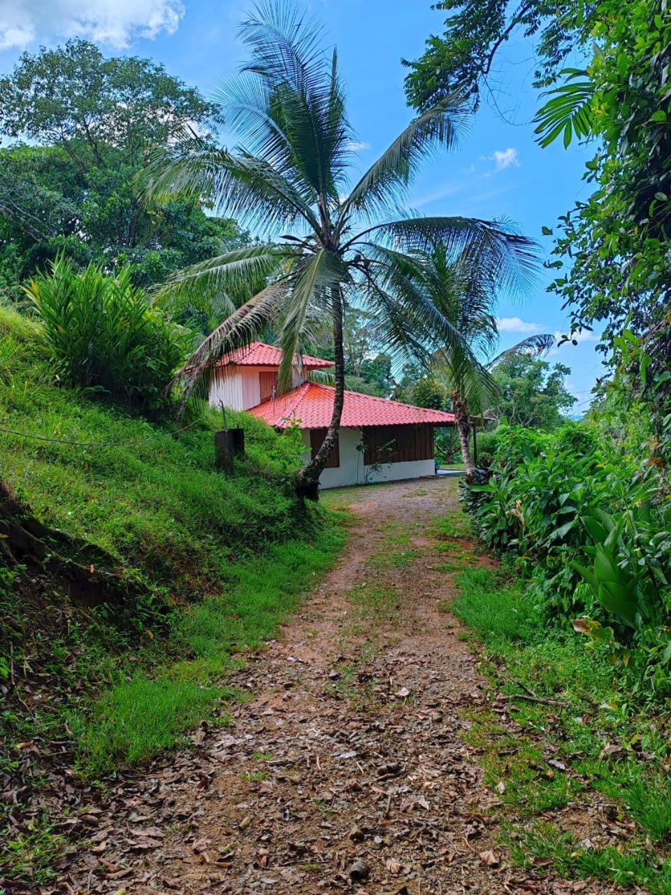 Corcovado Green Cabin & House Drake Bay Zewnętrze zdjęcie